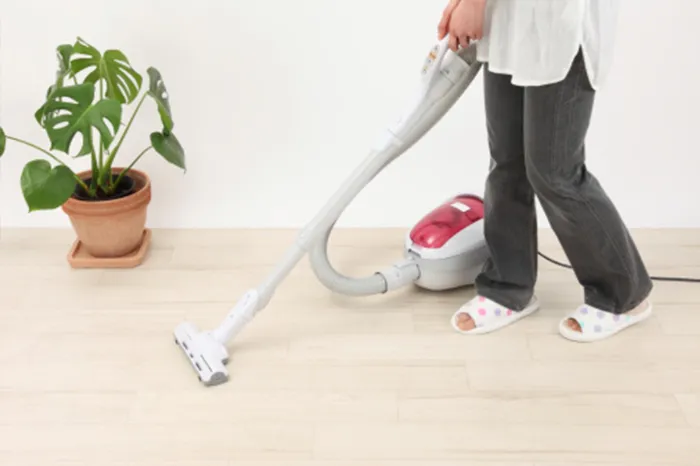 House Cleaner in Davenport, IA