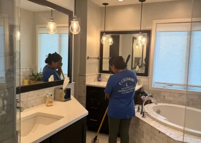 Professional Cleaning Services